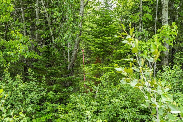 Property Photo:  Lot 6 Old Yarmouth Road  NS B0W 3T0 