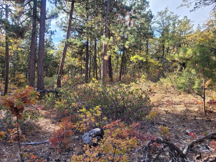 Property Photo: 605 Pine Creek Rd WA 99322