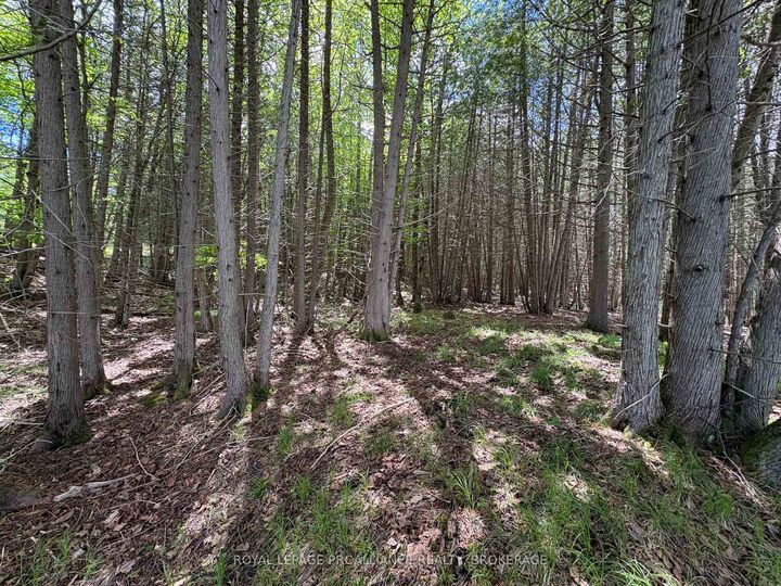 Property Photo:  2220 Silver Rock Lane  ON K0H 1W0 