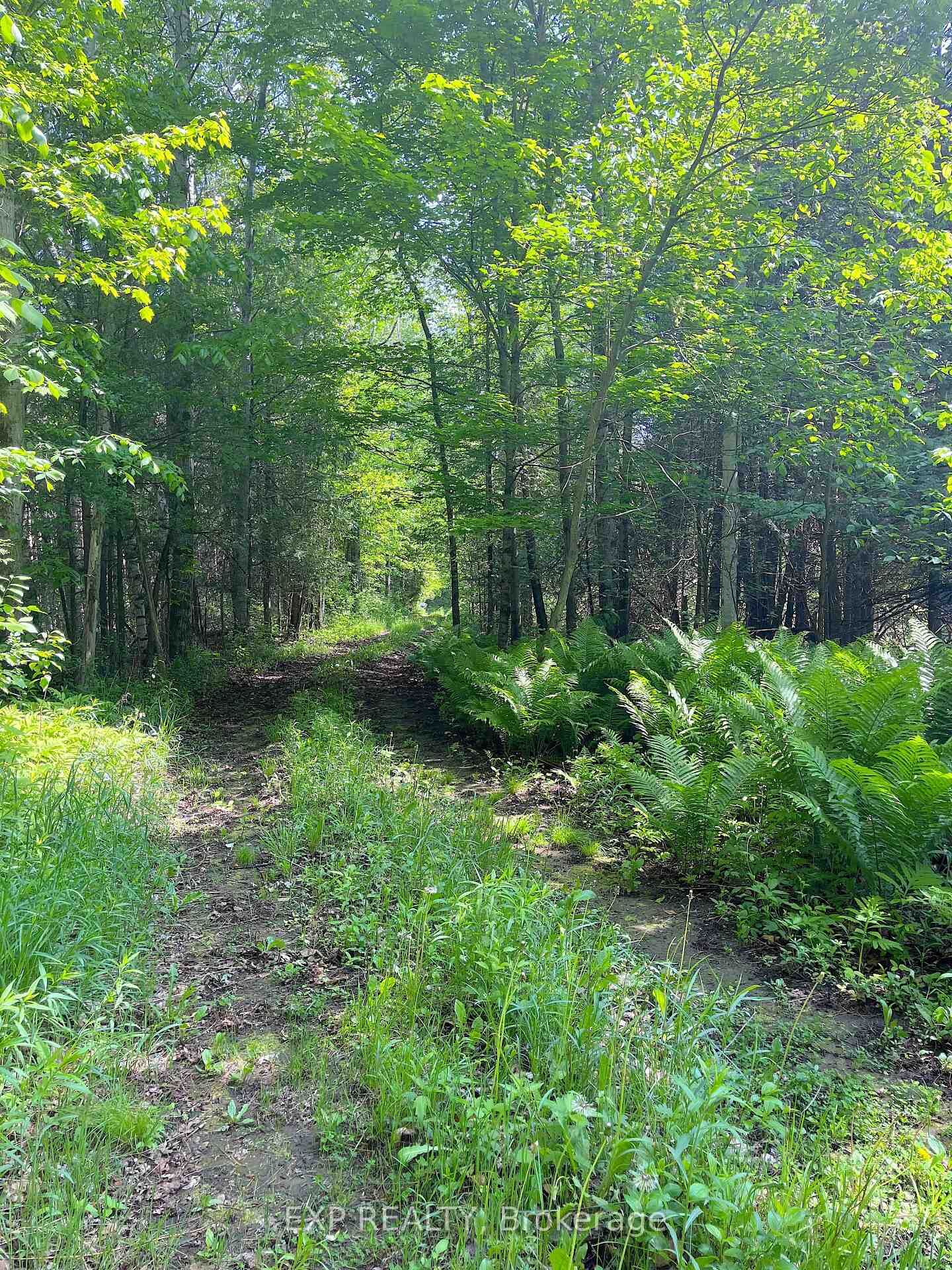 Property Photo:  00 Johnston Road  ON K7V 3Z8 