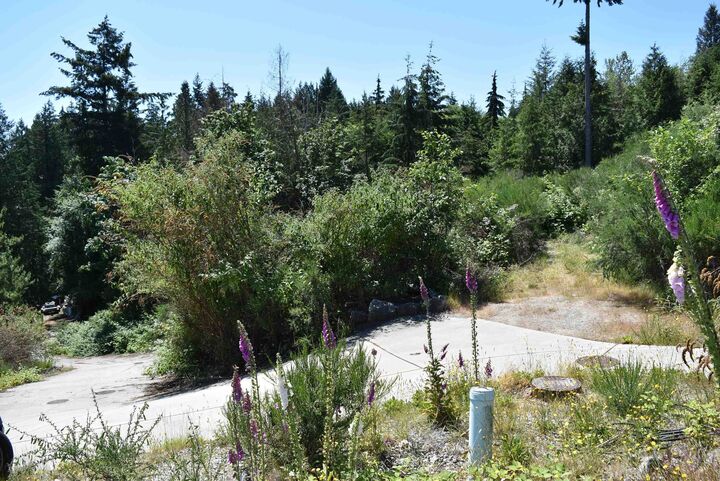 Property Photo: 5828 Anchor Road BC V0N 3A6