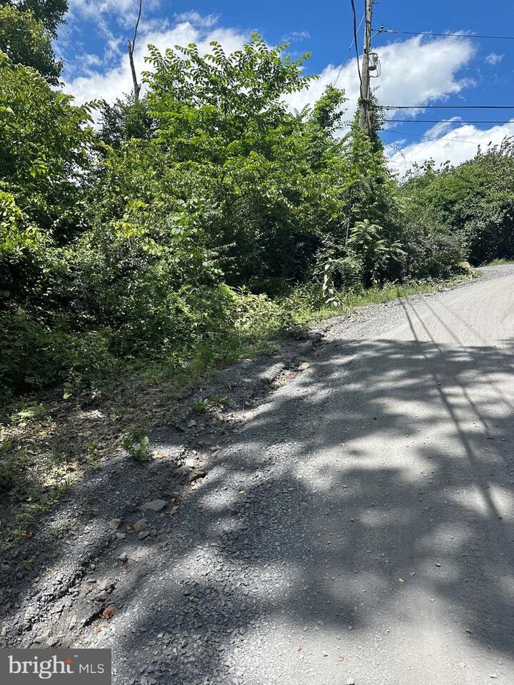 Property Photo: 2lots 463, 462 Reid Drive VA 22630