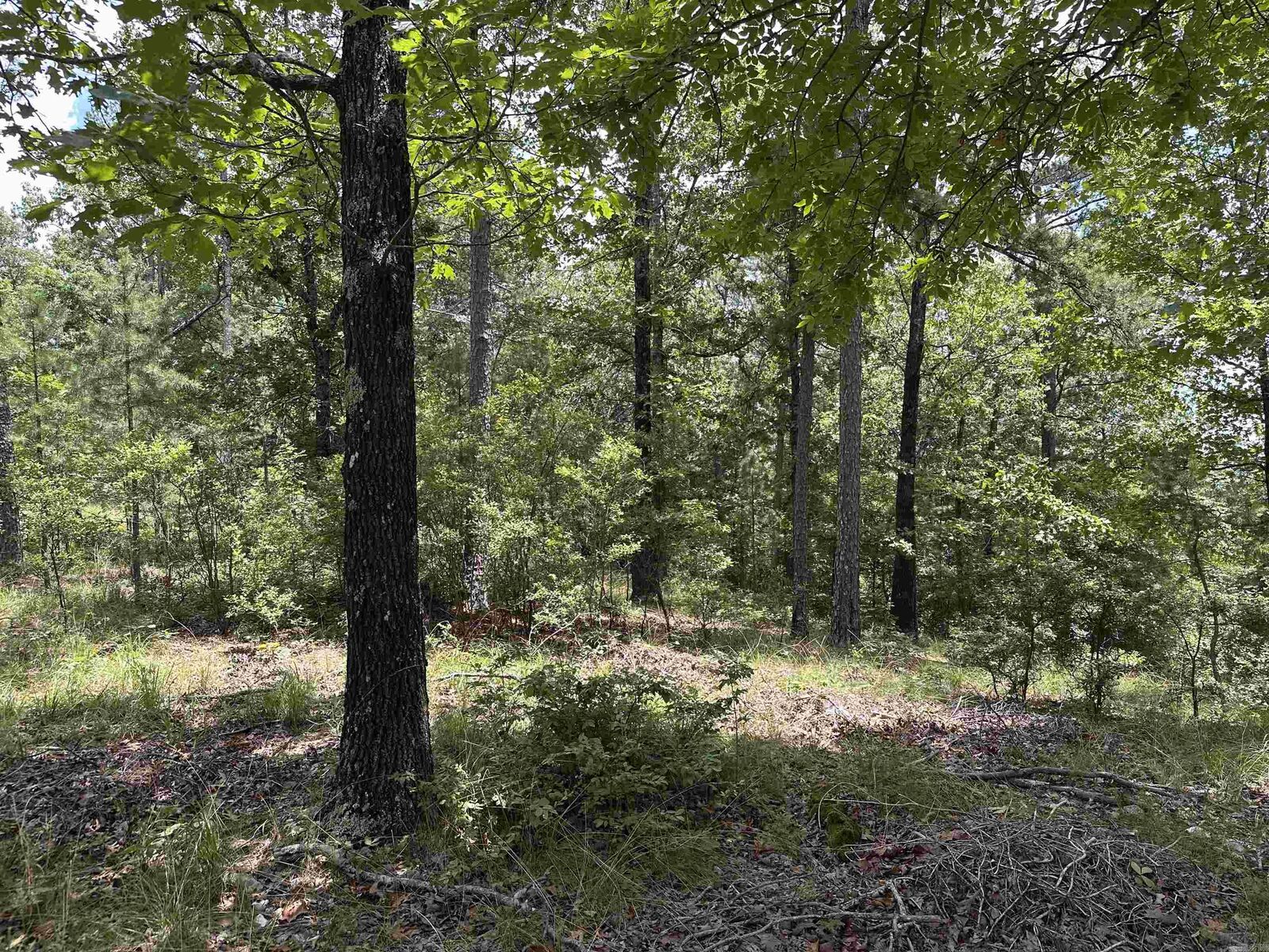 Property Photo:  Vista View Pl  AR 71901 