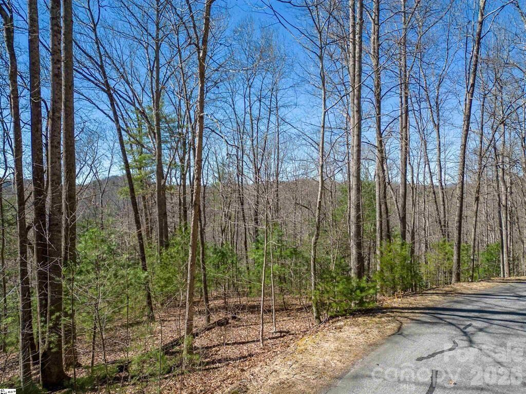 Property Photo:  132 Overlook Park Drive 51  NC 28792 