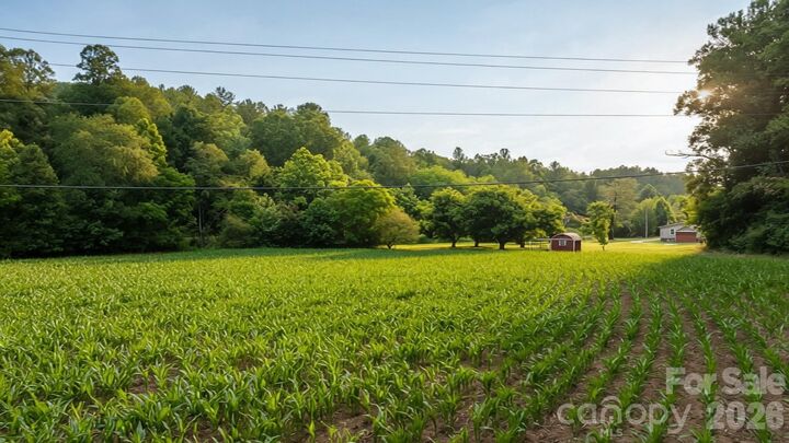 Property Photo:  2970 Zacks Fork Road  NC 28645 