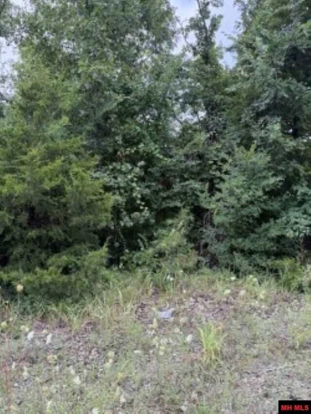 Property Photo:  Lot 23 Cr 868  AR 72544 