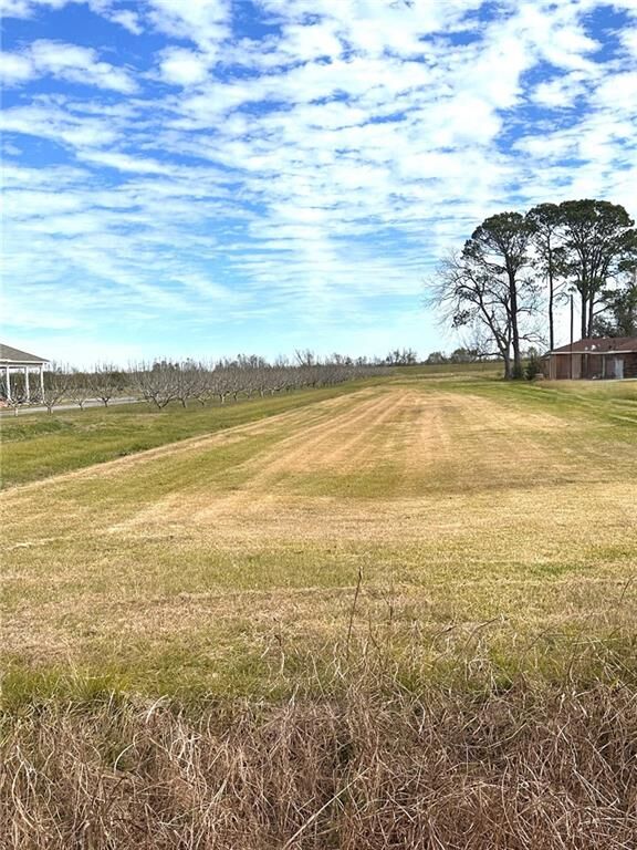 Property Photo:  14159 B Highway 23 Highway  LA 70037 