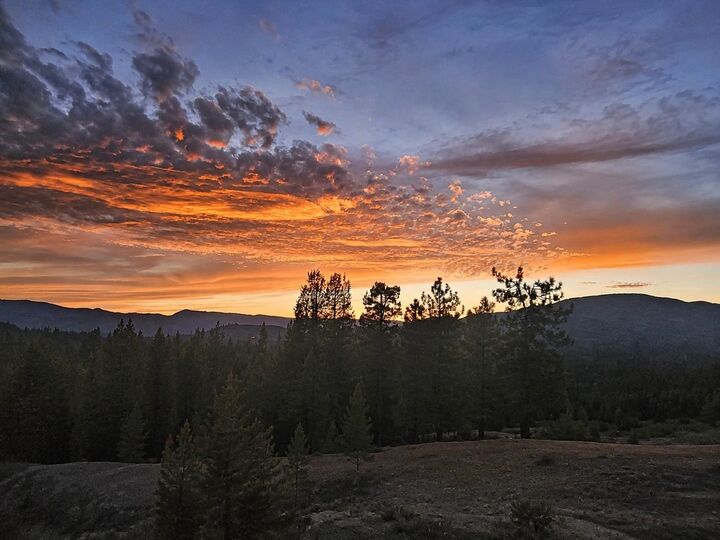 Property Photo: 905 Dancing Bears CA 96122