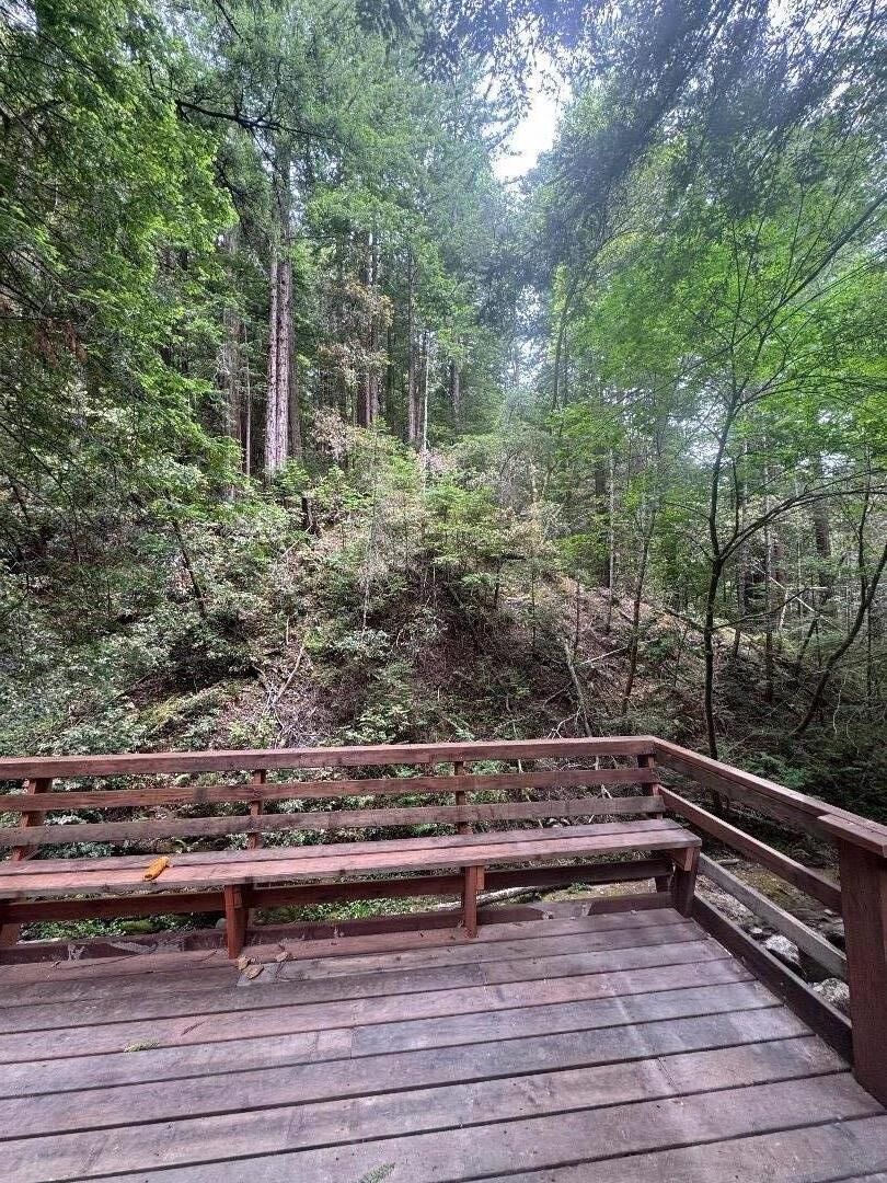 Property Photo:  14251 Pescadero Creek Road 4  CA 94020 