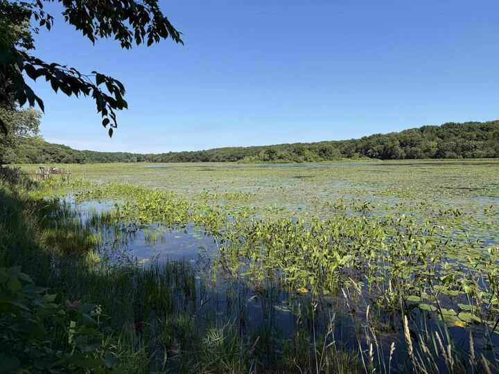 Property Photo:  Lots 47-50 W Lakeshore Drive  WI 53121 