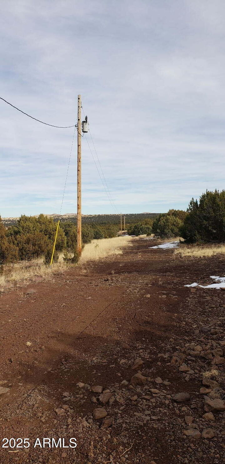 Property Photo:  10755029D N 0 -- 29  AZ 85924 