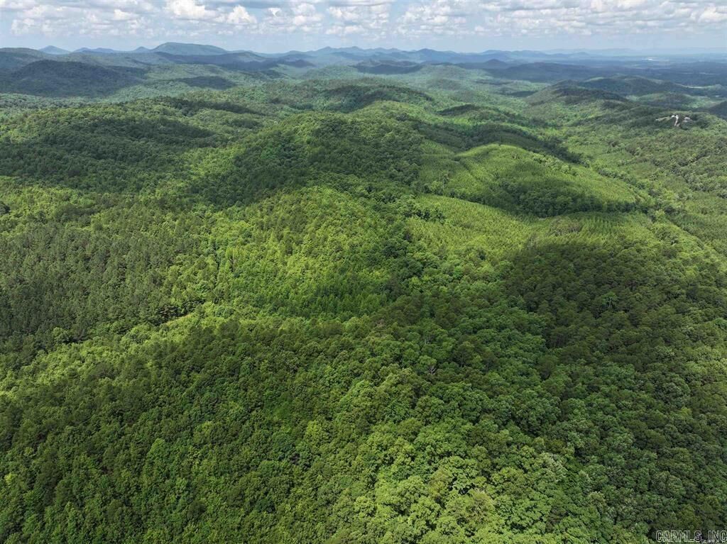 Property Photo: Tbd Easement Polk Road 61 Lot 3 AR 71953