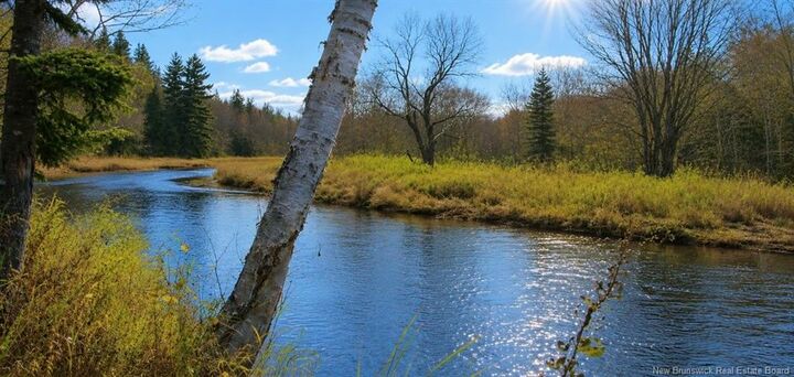 Photo de la propriété:  89 Acres Bay Du Vin River Road  NB E1N 5C1 