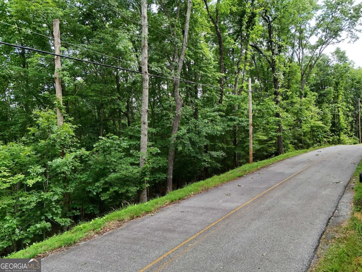 Property Photo:  Lot 131 Laurel Crossing  GA 30513 