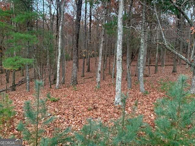 Property Photo:  Lot 4 Courtney Lane  GA 30512 