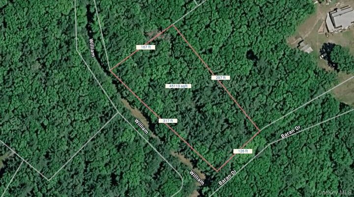 Property Photo:  Lot 27 William Street  NY 12737 