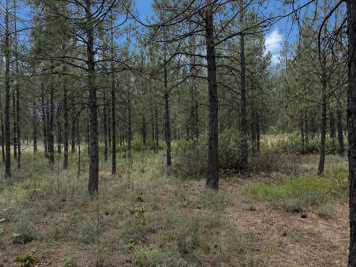 Property Photo:  1213 Fumi Cir  WA 99141 