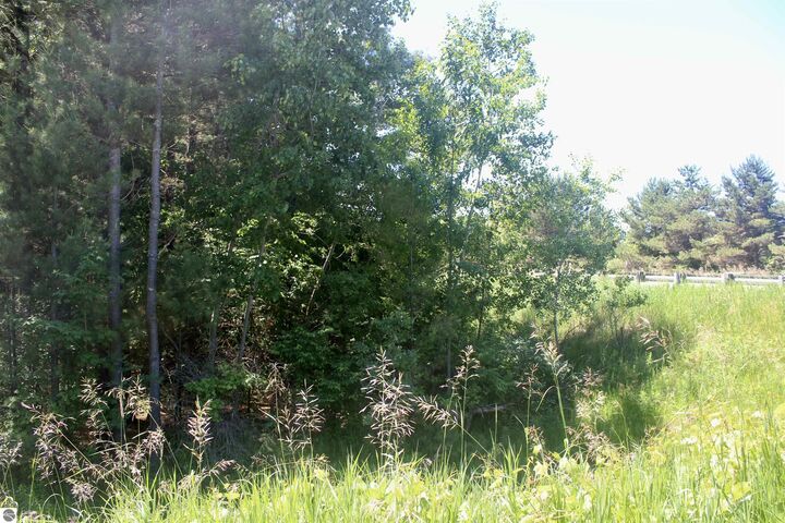 Property Photo: 00 Stone Circle Drive MI 49648
