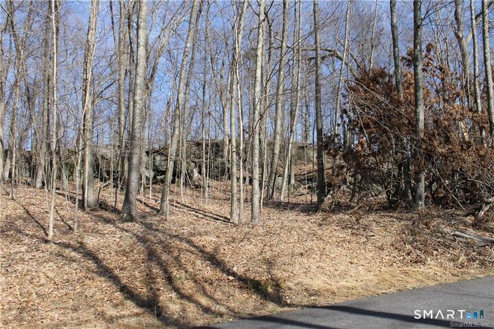 Property Photo:  6 Alfredson Lane  CT 06784 