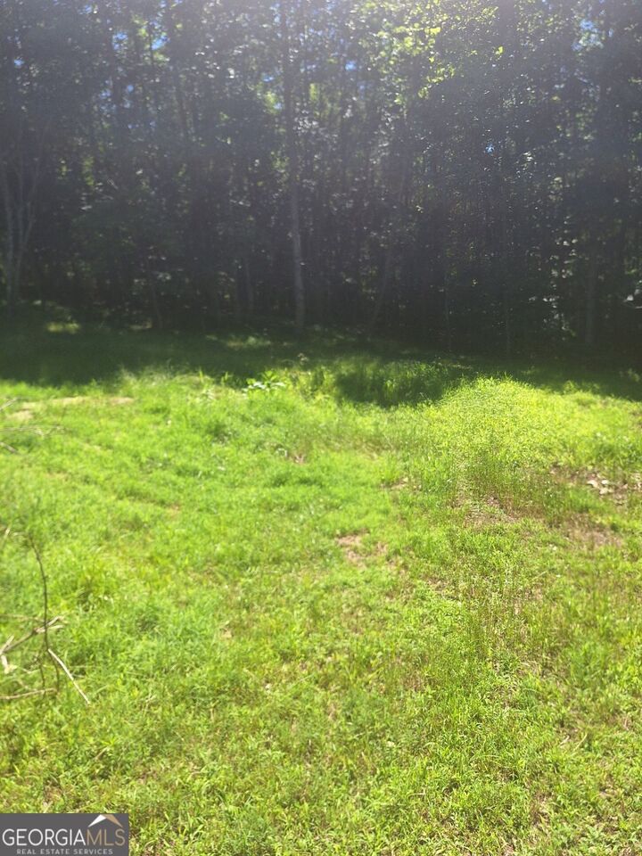 Property Photo: 0 Judah Road GA 30560