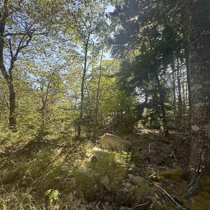Lot (Pid 70241864) Wellington Road — photo 1