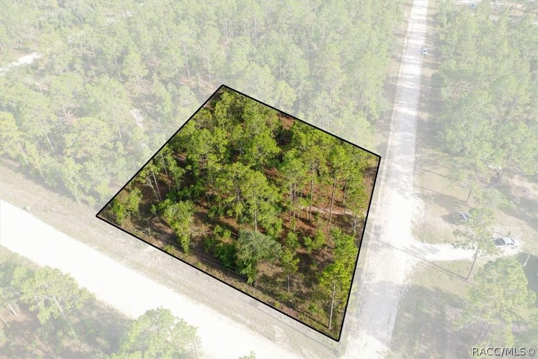 Property Photo:  0000 NE 131st Lot 10 Terrace  FL 32696 