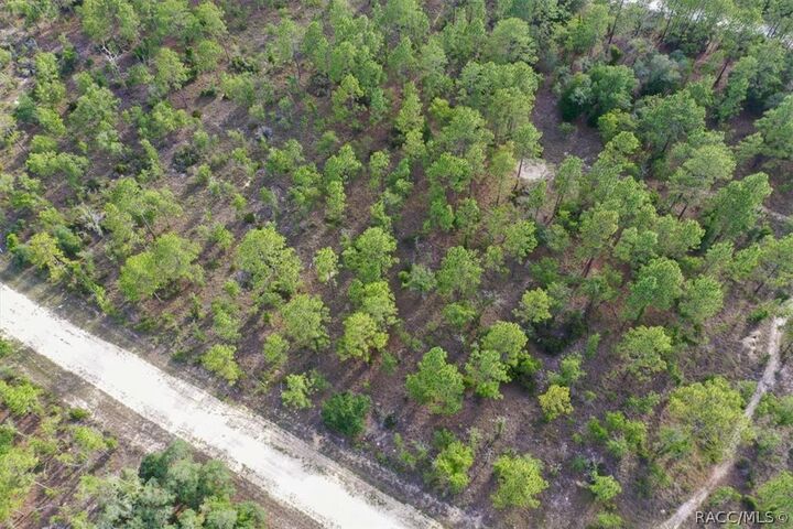 Property Photo: 0000 NE 132nd Lot 2 Terrace FL 32696