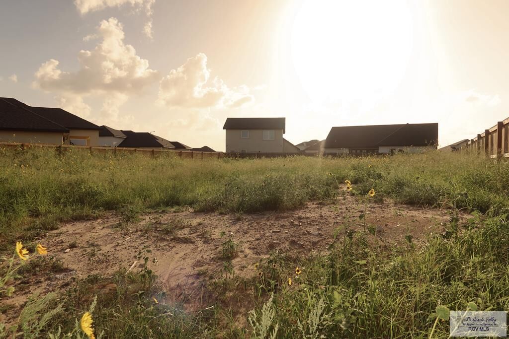Property Photo:  8851 Wentz Lake  TX 78520 