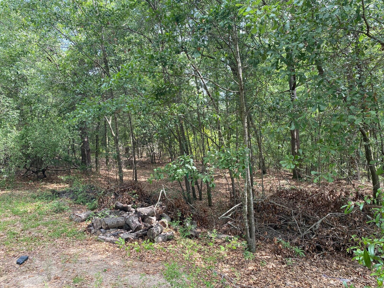 Property Photo: 00 McKenzie Street SC 29841