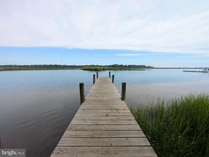 Property Photo:  13481 Harryberry Lane  VA 22485 