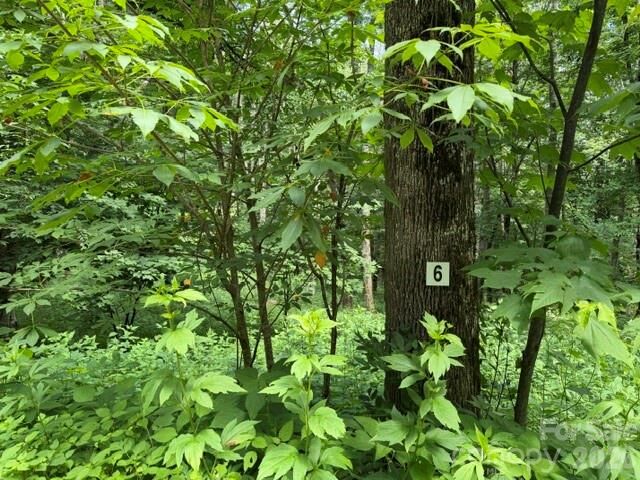 Property Photo:  Lot 6 Gadohi Trail 6  NC 28751 