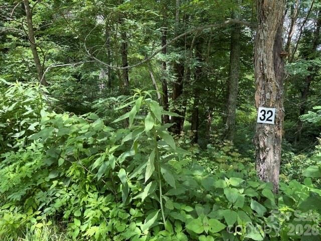 Property Photo:  Lot 32 Toi Trail 32  NC 28751 