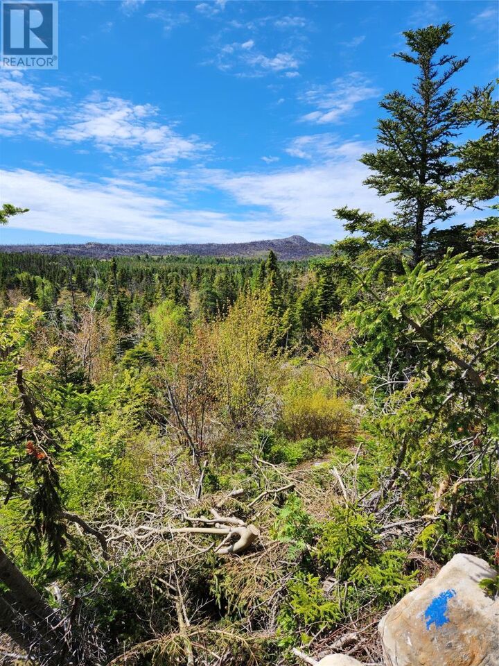Property Photo:  0 Old Track Road  NL A0A 0A5 