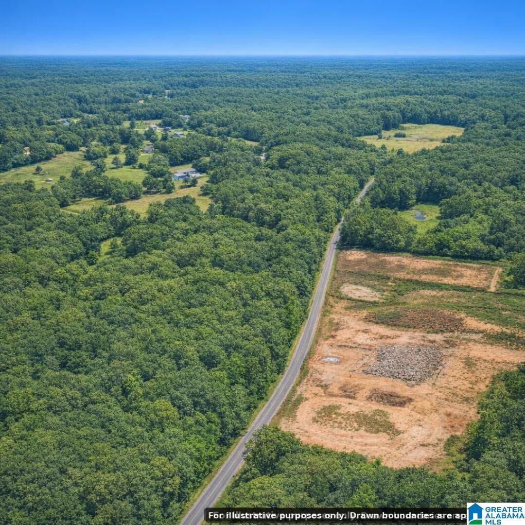 Property Photo: 0 Jackson Trace Road 0 AL 35096