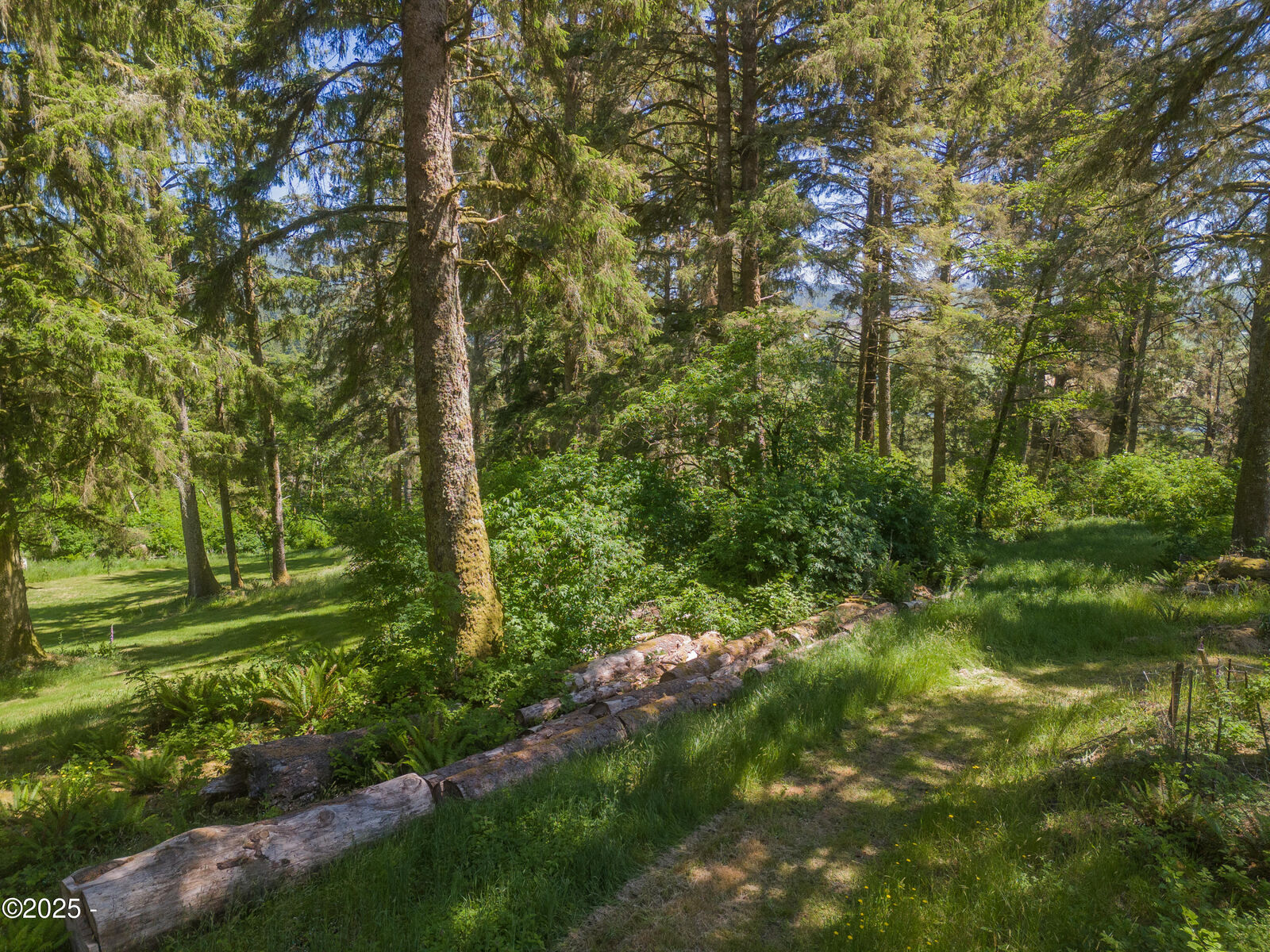 Property Photo:  01503 Tax Map  #5S10050001503  OR 97112 