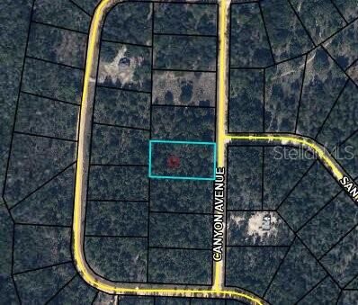 Property Photo: 0 Canyon Avenue FL 32420