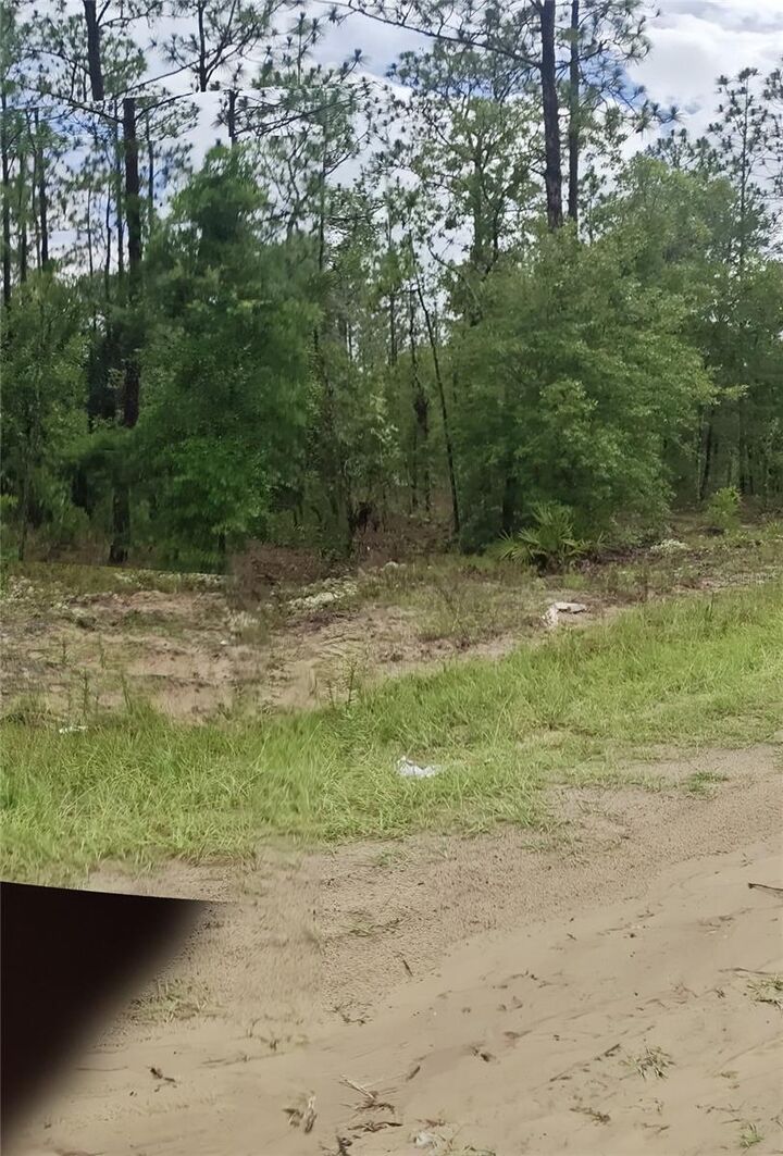 Property Photo:  00 SW 69 Place  FL 34481 