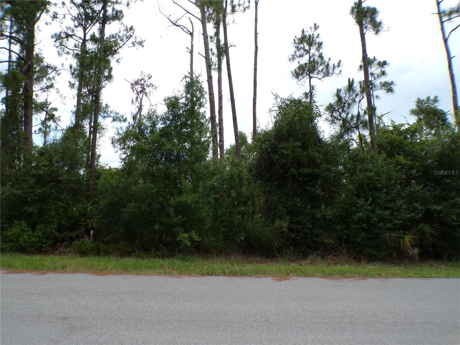 Property Photo: Lummus Street FL 34286