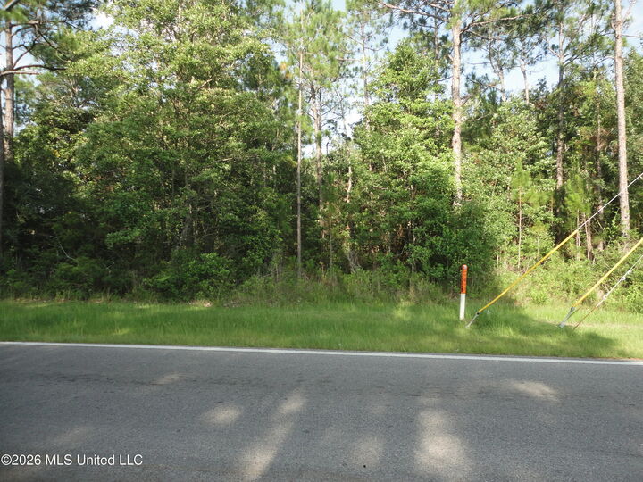 Property Photo:  Dolphin Drive  MS 39553 