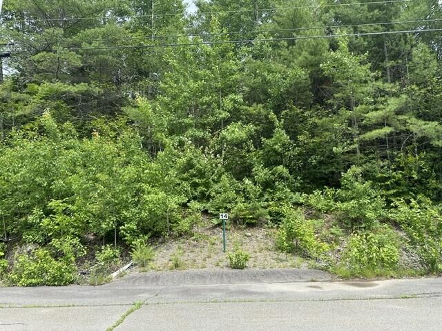 Property Photo:  Lot 14 Grant Road  ME 04473 