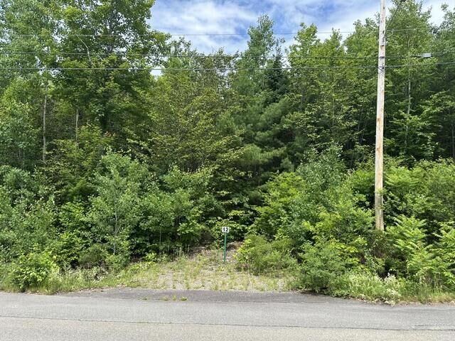 Property Photo:  Lot 12 Grant Road  ME 04473 