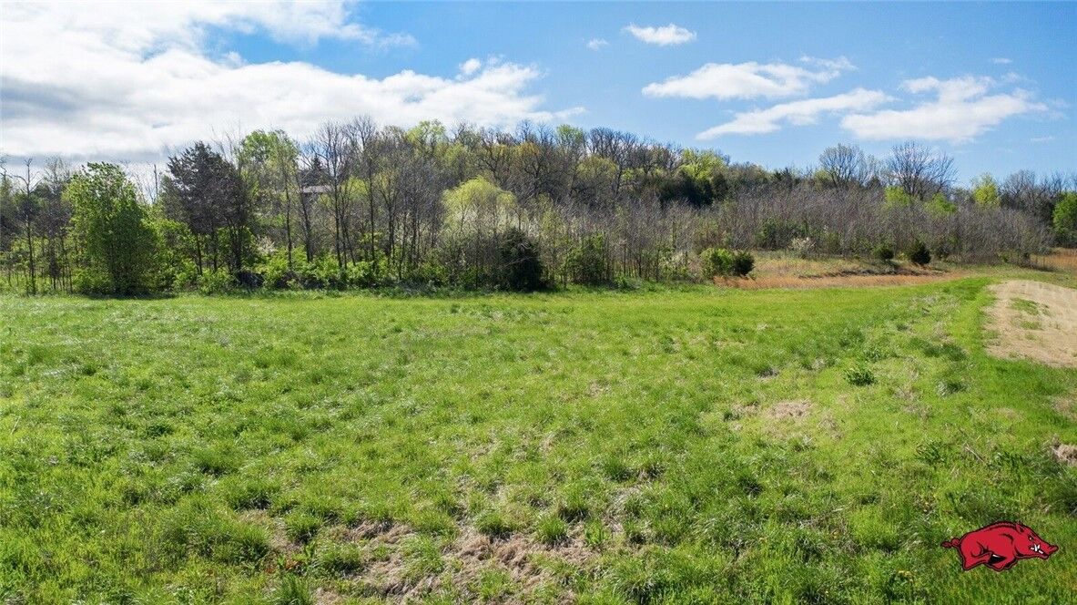Property Photo:  Tbd N Cato Springs Road  AR 72701 