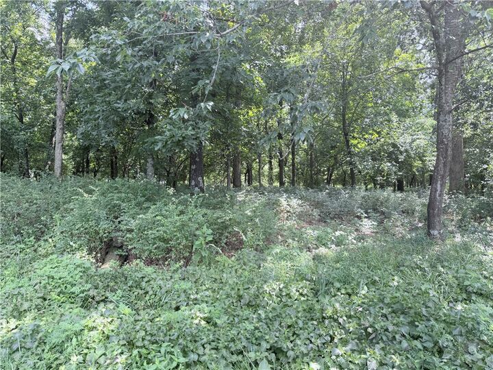 Property Photo:  18.42 Acres N Ar 43 Highway  AR 72747 