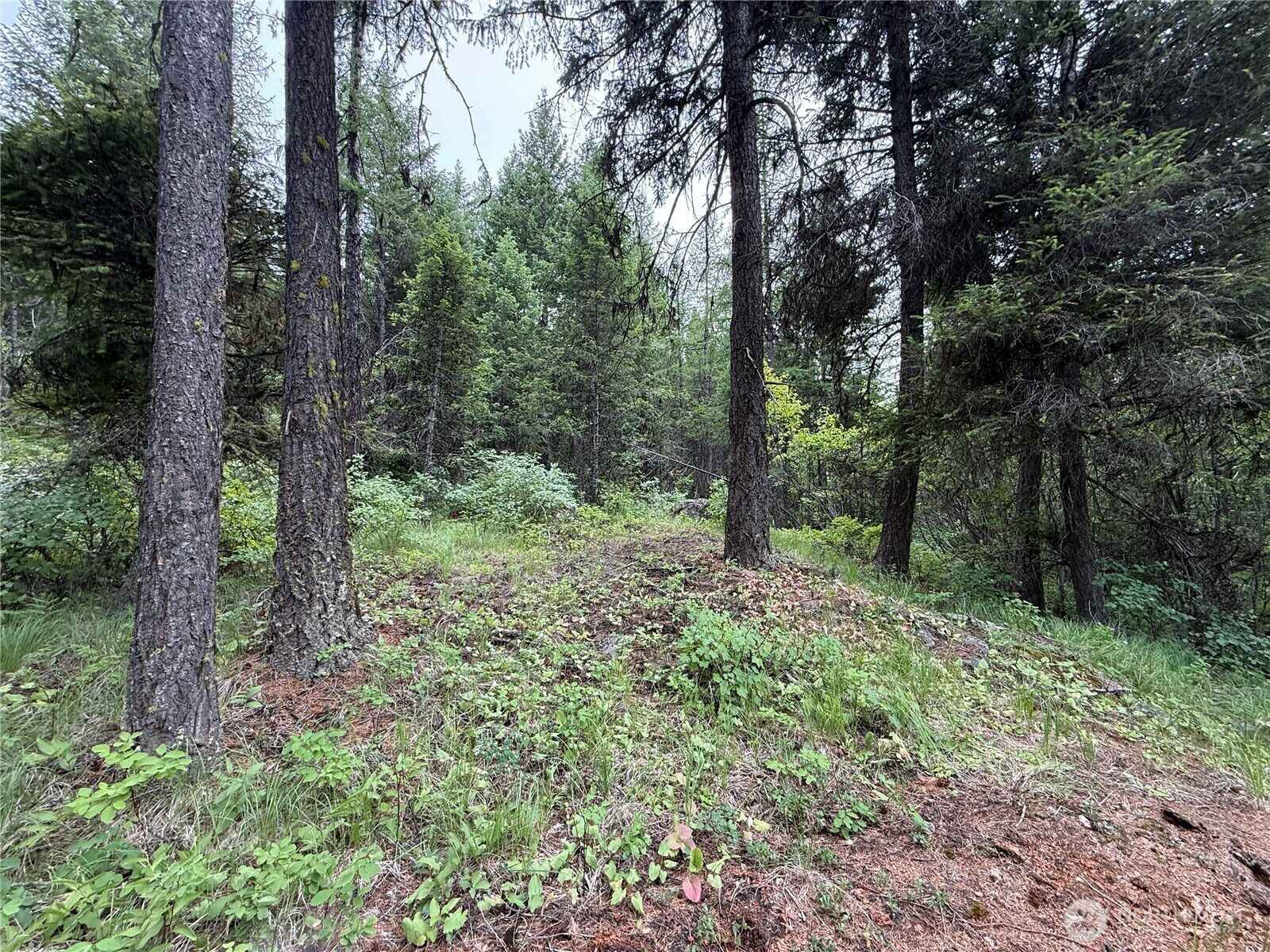 Property Photo: 0 Mule Deer Road WA 99166