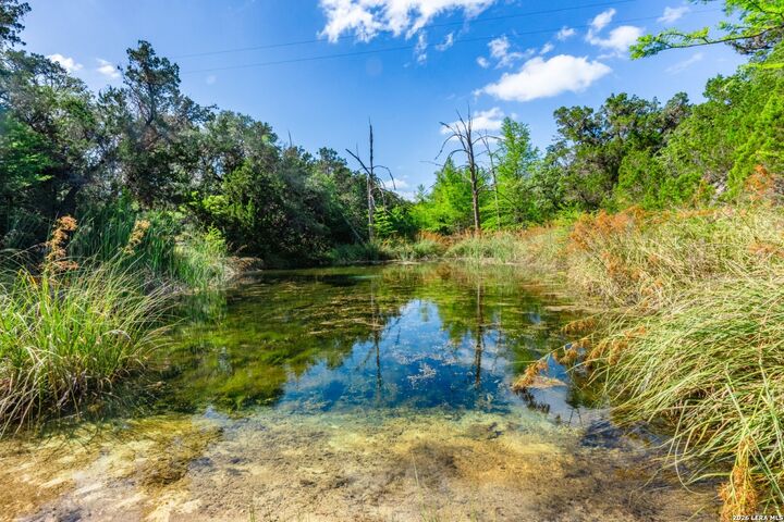 Property Photo: 650 Evans Creek Road TX 78885