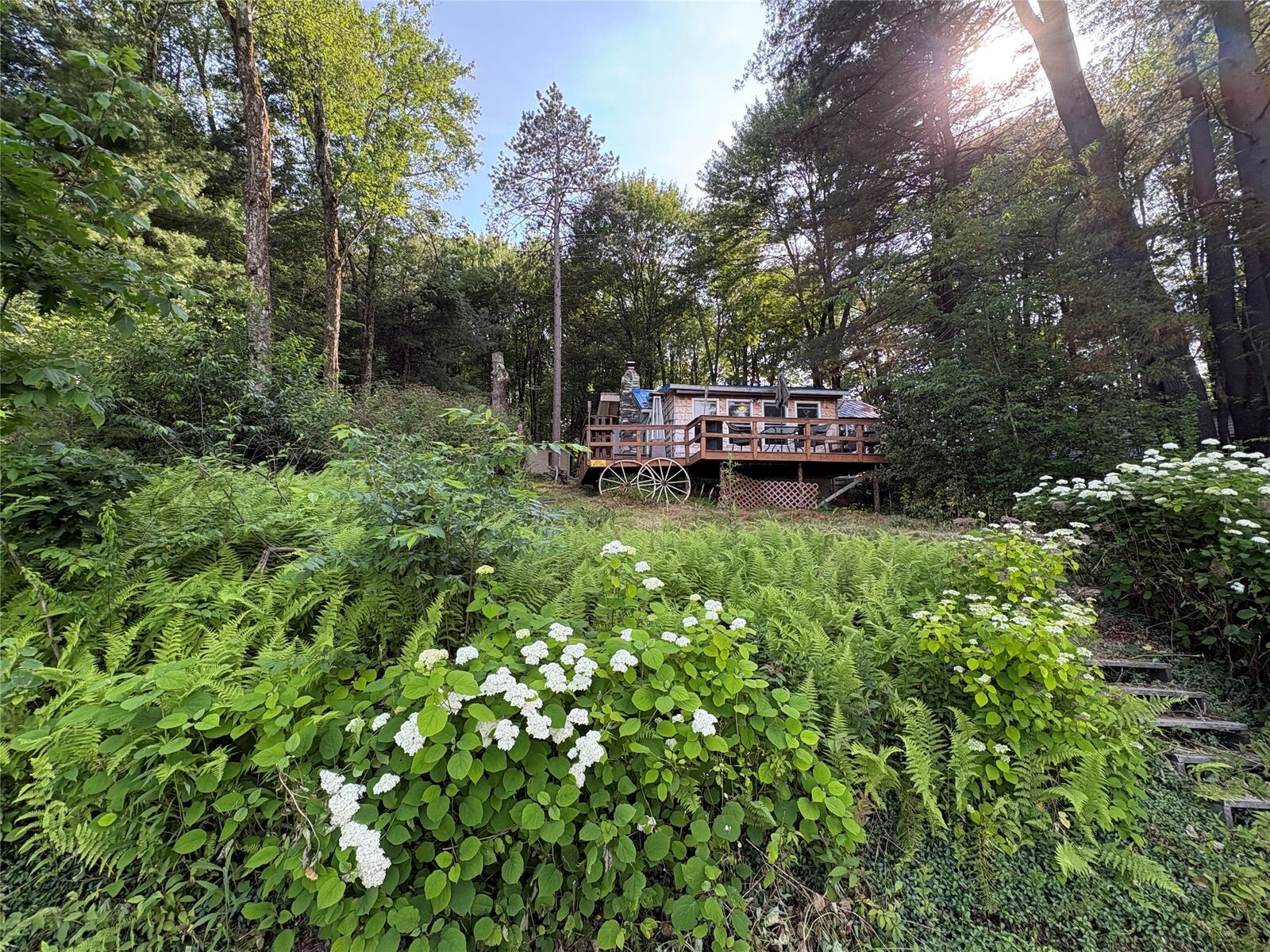Property Photo:  61 Upper Woodside Drive  PA 18812 