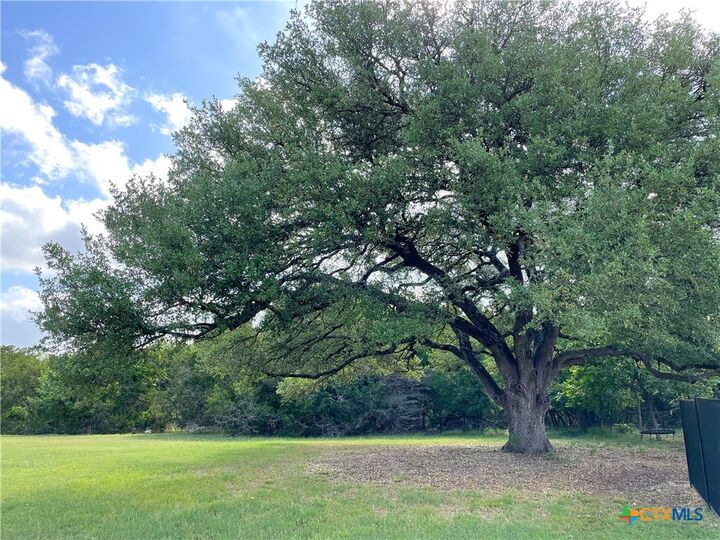 Property Photo:  3045 Rolling Meadow Drive  TX 76571 