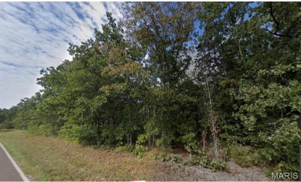 Property Photo: 0 S Highway 185 MO 63080