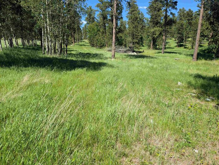 Property Photo:  Tbd Rochford Road  SD 57754 