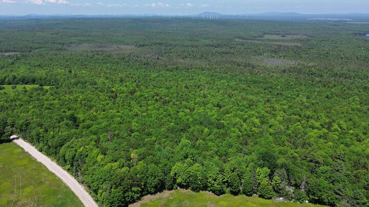 Property Photo:  Lot 4 Martins Ridge Road  ME 04634 